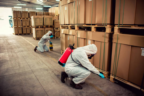 Best Mosquito Control Services  in Ladd, IL