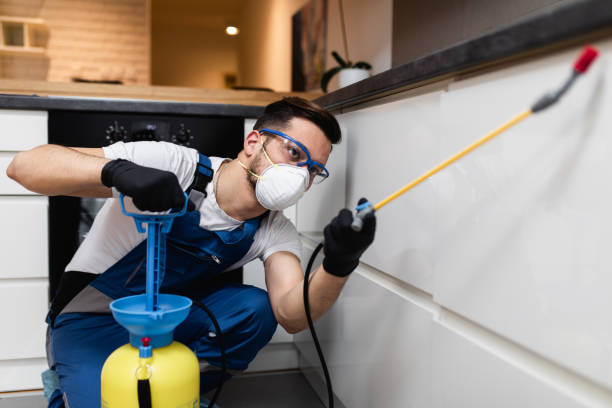 Best Wasp Removal Services  in Ladd, IL