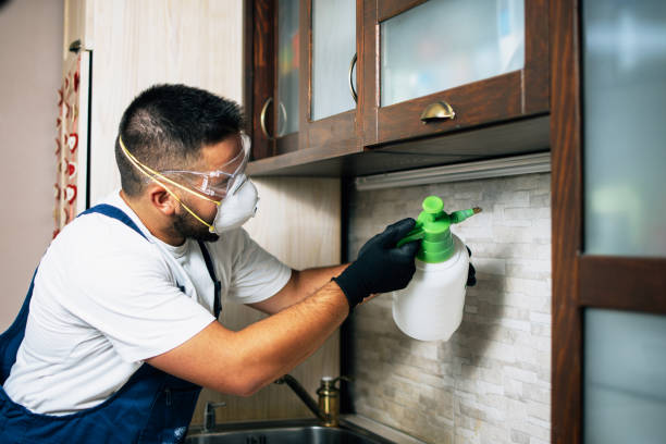 Best Best Pest Control Companies  in Ladd, IL