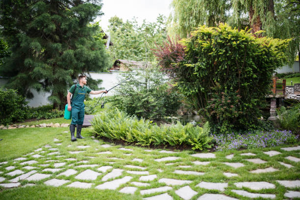 Best Pest Control Near Me  in Ladd, IL