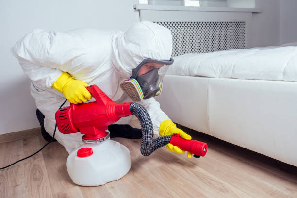 Best Mosquito Control Services  in Ladd, IL