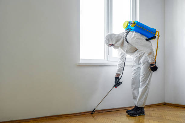 Best Residential Pest Control  in Ladd, IL