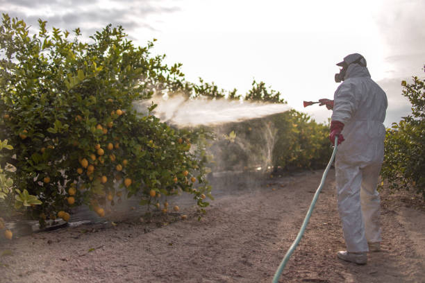 Best Exterminator Services  in Ladd, IL