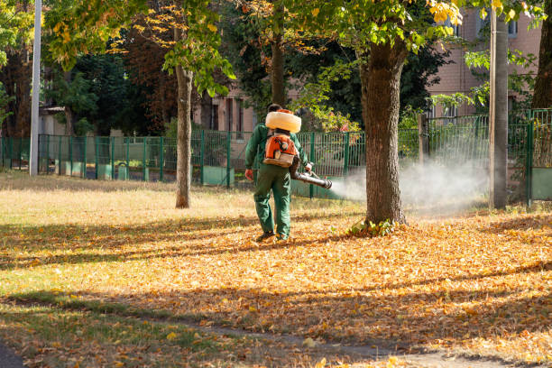 Best Cockroach Control Services  in Ladd, IL