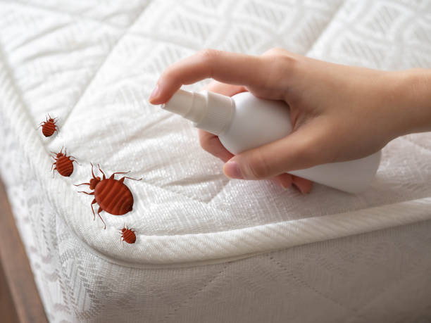 Pest Prevention Services in Ladd, IL