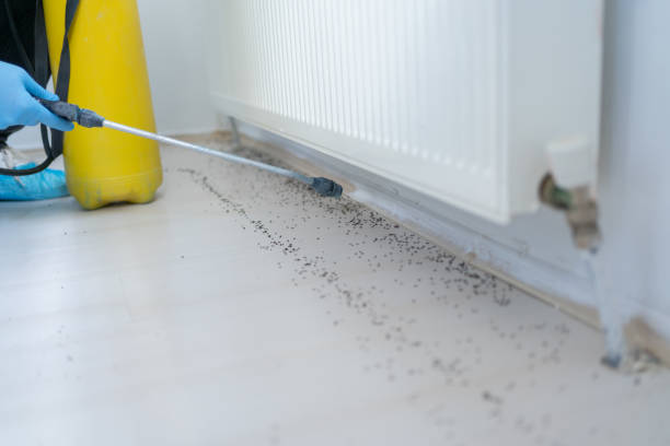 Best Pest Control Near Me  in Ladd, IL
