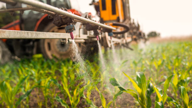 Best Pest Inspection Near Me  in Ladd, IL