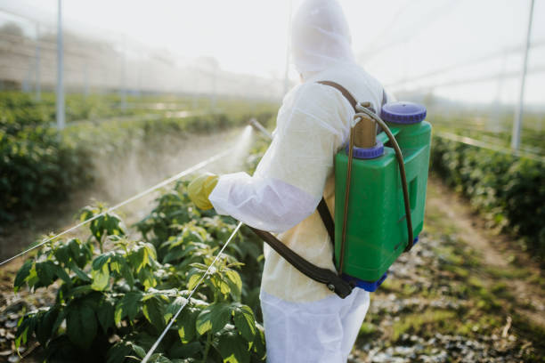 Best Local Pest Control Services  in Ladd, IL